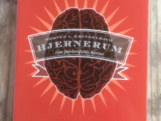 Hjernerum - den følelsesfulde hjerne