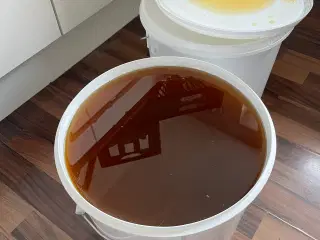 Honning på spand