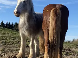 Sjov, klog og helt speciel 