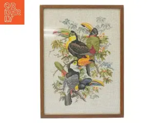 Billede af tukaner i ramme (str. 39x29 cm)