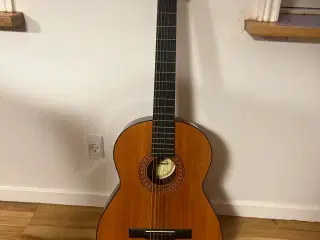 Akustisk Guitar