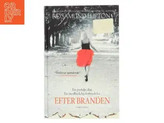 Efter branden af Rosamund Lupton (Bog)