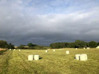 Wrap HorseMax Slæt