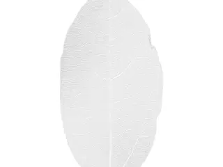 Hvide Skeletblade 6-8 cm - 20 stk. til Dekoration