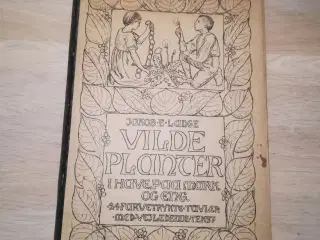 Gl. bog om vilde planter 1913