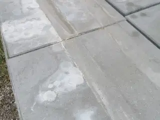 Fliser 50x50x5 grå 