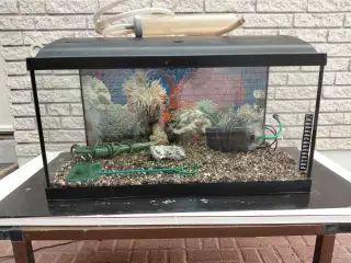Akvarier 54L 