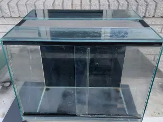 Terrarium 