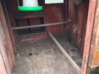 Hønsehus med elektrisk hønselem