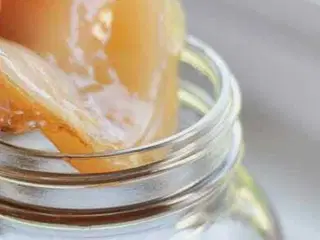 Kombucha, helse, svamp