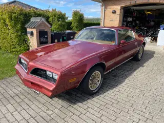 Yderst Velholdt Pontiac Firebird