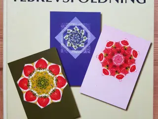 Lav papirkunst, kort og små billeder - danske bø