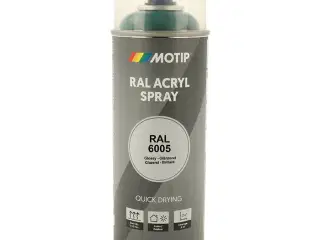 Motip Ral 6005 high gloss mossy green