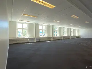Fast plass i åbent miljø Kr  498,- pr mnd