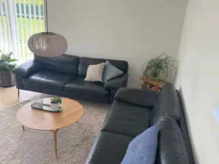 Sofa i læder