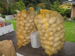 KARTOFLER