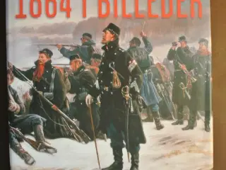 1864 i billeder, af tom buk-swienty, emne: histori