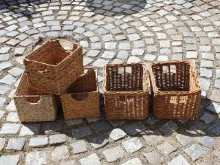 Skønne kurve