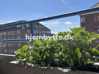 Hjembytte - Godthåbsvej