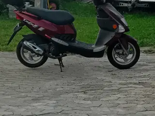 T-rex scooter 