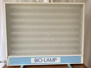 LYSTERAPI lampe/skærm