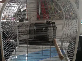 Papegøje / fugle bur 