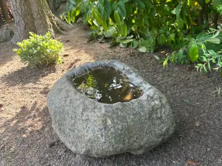Fuglebad