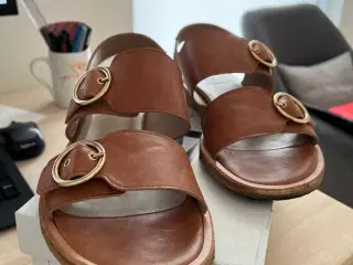 Angulus sandal