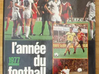 Fodbold; Lánnée du football