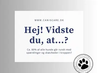 Osteopati til hund