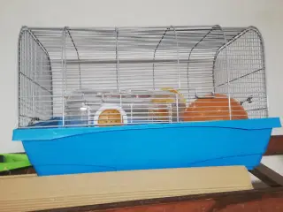 Hamster /marsvin bur. 