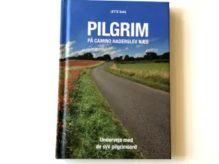 Pilgrim på Camino Haderslev Næs - undervejs med de