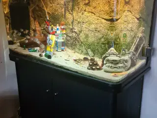 300 L akvarie