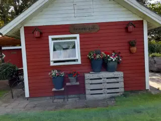 Kolonihavehus Esbjerg