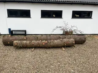 Gitterbur med træ