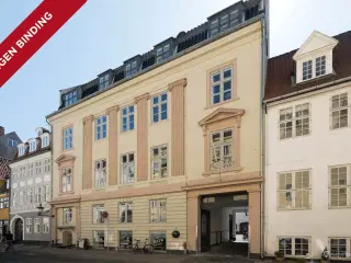 Herskabelige rammer på Ny Kongensgade