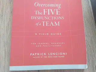 Overcoming the five dysfunctions of a team