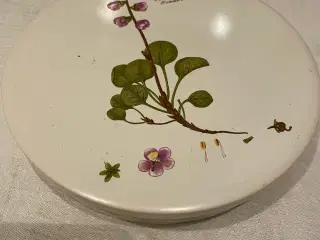 Flora Danica platter (smøre) 15 stk