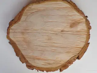 NY Thuja Træskive med bark 30 cm lang