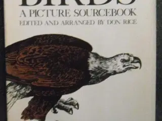Birds: A Picture Sourcebook, dyr, fugle