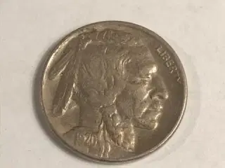 Buffalo Nickel 1920 USA