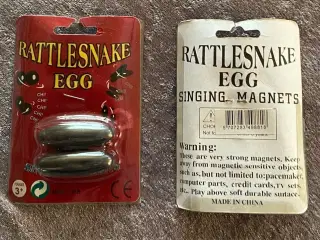 Rattlesnake egg
