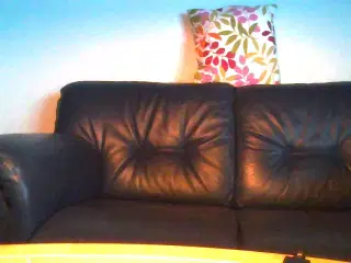 Lædersofa 2+3 pers.