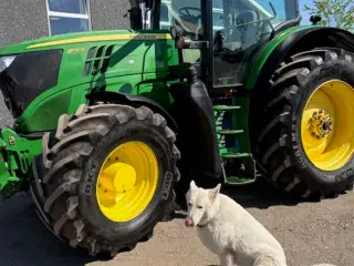 John Deere 6170R AUTOPOWER, FRONTLIFT, FRONT PTO