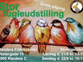 Fugleudstilling