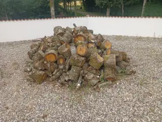 Brænde sælges 