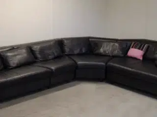 ROLF BENZ SOFA