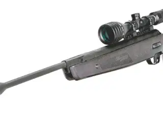 sig sauer asp20