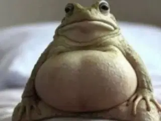 Kan ikke finde slette annonce knappen 