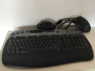 Flot Microsoft Tastatur og mus  i Sort